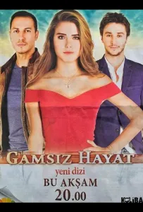 Беззаботная жизнь (сериал 2015)