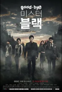 Прощайте, мистер Блэк (сериал 2016)